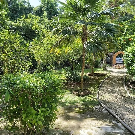 Mini Pini Bird Watching And Cenote Loft Villa